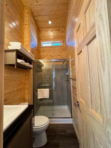 a bathroom with a shower and a toilet and a sink at Arches Hut in Moab +20 photos