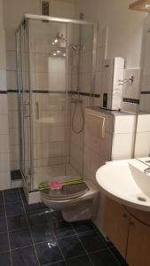 a bathroom with a shower with a toilet and a sink at Seetempel 19 - direkt am Strand ,Hunde willkommen in Scharbeutz +14 photos