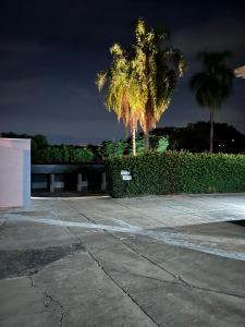 two palm trees in a parking lot at night at Motel Wish in Campinas