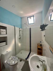 ein Badezimmer mit Dusche, Toilette und Waschbecken in der Unterkunft The Island Hostel & Café in Lagos + 22 Fotos