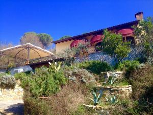 une maison avec des plantes sur le flanc d'une colline dans l'établissement B&B Pino del Capitano, à Dicomano