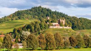 a castle on top of a hill with trees at 3-Zimmer Ferienwohnung Offenburg 1-4 Personen in Offenburg