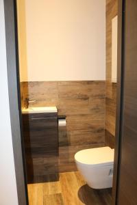 une salle de bains avec toilettes et lavabo dans l'établissement apartment center Sélestat Le Melimi, à Sélestat