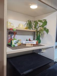 Kuchyň nebo kuchyňský kout v ubytování Studio Pleasant Tifolia