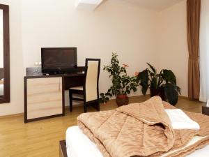 TV a/nebo společenská místnost v ubytování Hotel Orka