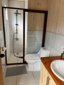 a bathroom with a toilet and a shower and a sink at Casa arenal in Ranco +12 photos