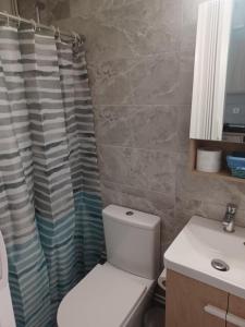 un bagno con un water e una tenda da doccia di relax studio appartment a Porto Rafti Altre 20 foto