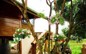 Vườn quanh Huean khao hom เฮือนข้าวหอม +14 ảnh