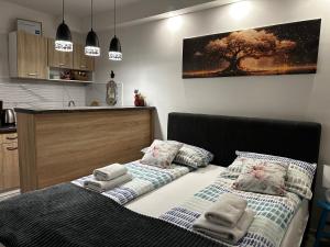 Tempat tidur dalam kamar di Cozy studio Cik-Cak
