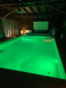 a person playing a game of pool with a green screen at Lux Vila Turkovic in Plav