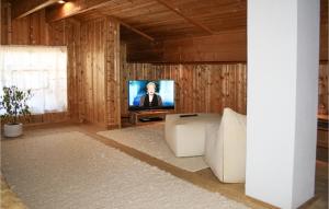 TV a/nebo společenská místnost v ubytování Ferienhaus In Stummerberg