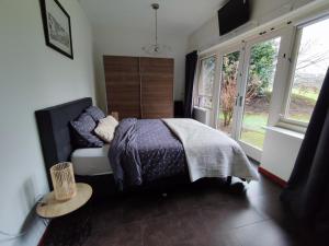 ein Schlafzimmer mit Bett, Sofa und Fenstern in der Unterkunft Wikkerink in Aalten