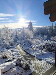 - Vistas al invierno a un río con árboles nevados en Srub Javorná - apartmány Šumava, en Javorná