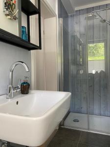 a bathroom with a sink and a shower at #2 Ommi Kese Sansibar Apartment Panorama Balkon in Olpe