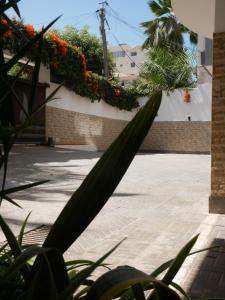 a plant in front of a building with flowers at Résidence Bambou in Dakar