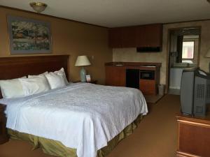 pokój hotelowy z łóżkiem i telewizorem w obiekcie Travelodge by Wyndham Monroe w mieście Monroe
