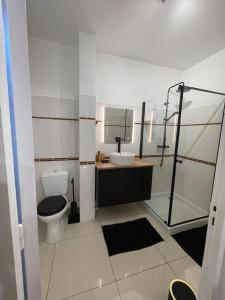 Honey M Appart في سكولكر: حمام مع مرحاض ومغسلة ودش