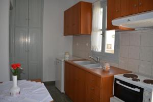 Kuchyň nebo kuchyňský kout v ubytování Klados Studios & Apartments