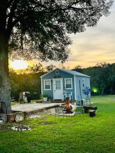 una casetta blu in un campo con un albero di Tiny house - Our little piece of paradise a Lakehills