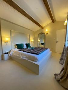 a bedroom with a large bed and a large mirror at MAS DES PAZ in Aigues-Mortes +41 photos