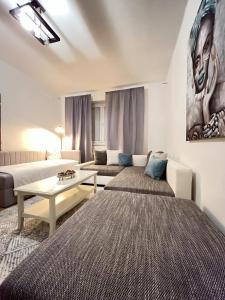 Χώρος καθιστικού στο Apartman Cañas Modrá Víla
