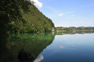 uma vista para um lago com árvores na margem em Landhaus Seehof em Füssen