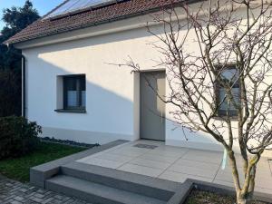 a white building with a door and a tree at Exklusive und moderne Ferienwohnung in Thiendorf +5 photos
