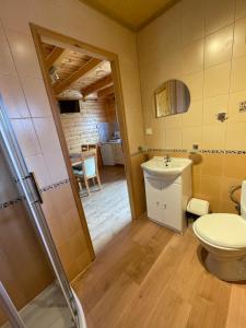 a bathroom with a toilet and a sink at Uroczy Zakatek in Chłopy +47 photos