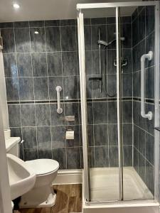 惠特比Bleak House的带淋浴、马桶和水槽的浴室