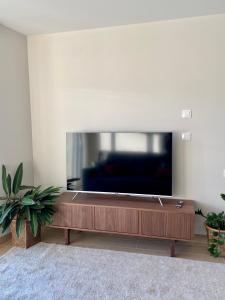 a living room with a large flat screen tv at Alojamientos Ría de Vigo & Alborada in Moaña