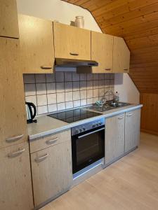a kitchen with a stove and a sink at Bärenhof in Tirschenreuth