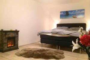 a bedroom with a bed and a fireplace at Köln Altstadt Charmantes Studio in Cologne