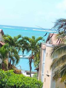 vistas al océano desde un edificio con palmeras en Vu mer accès plage à pied, en Grand Gaube