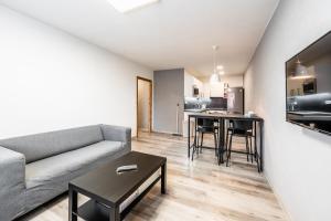 TV a/nebo společenská místnost v ubytování Apartments Kolín & Penzion Navara