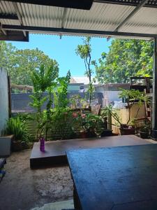 Сад в Chez Hina no Pacifica