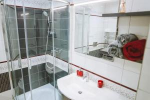 a bathroom with a shower and a sink and a mirror at City Studio Apartment in Piešťany +21 photos