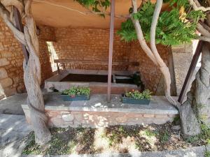 Gîte La Chouette Hulotte classé 3 étoiles Spa, Mt Ventoux, Parc Spirou外面的花园