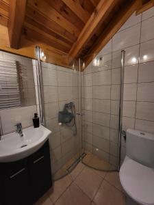 a bathroom with a toilet and a sink at Hacjenda in Susiec +43 photos
