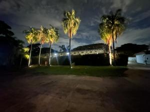 a group of palm trees in a yard at night at Wish Suítes in Campinas