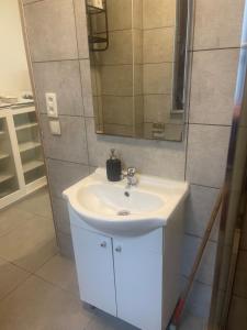 a bathroom with a white sink and a mirror at Apartment Close to Zuid Park in Antwerp