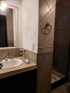 a bathroom with a sink and a mirror and a shower at Siéntete como en tu casa in Tarija