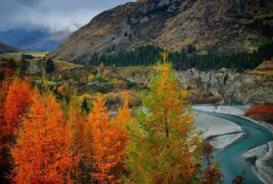 a river in the mountains with colourful trees at Huge & Stylish on Shotover 4 Bedrooms in Queenstown +31 photos