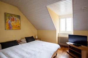 TV a/nebo společenská místnost v ubytování Hotel Acacia