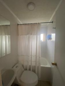 a bathroom with a toilet and a tub and a sink at Casa Ovejero in Punta Arenas +36 photos