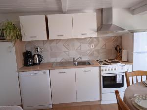 Kuchyň nebo kuchyňský kout v ubytování Family-friendly apartments with swimming pools Krasica, Rijeka - 18059
