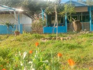 A garden outside Dar zitouna