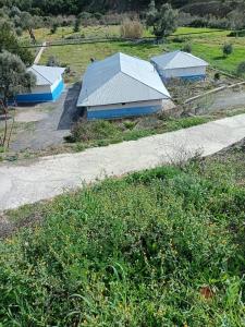 A garden outside Dar zitouna