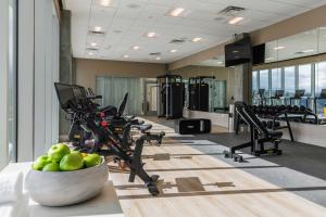 Fitness centrum a/nebo fitness zařízení v ubytování Hotel Polaris