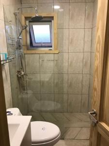 a bathroom with a shower and a toilet and a television at Linda Casa en parcela, 3 minutos de frutillar Bajo in Frutillar