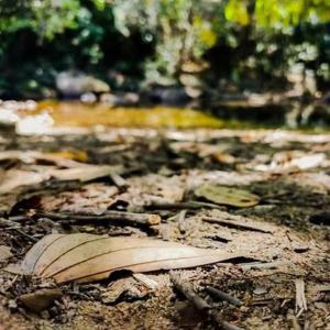 Gallery image of Camping aldeia- traga seu equipamento de camping in Alto Paraíso de Goiás